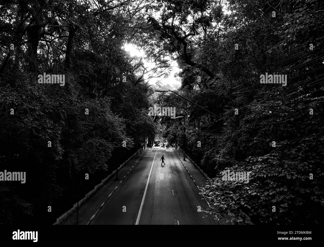 Silhouette eines Mannes, der Alameda Santos überquert, gesehen vom Parque Trianon in São Paulo, Brasilien Stockfoto