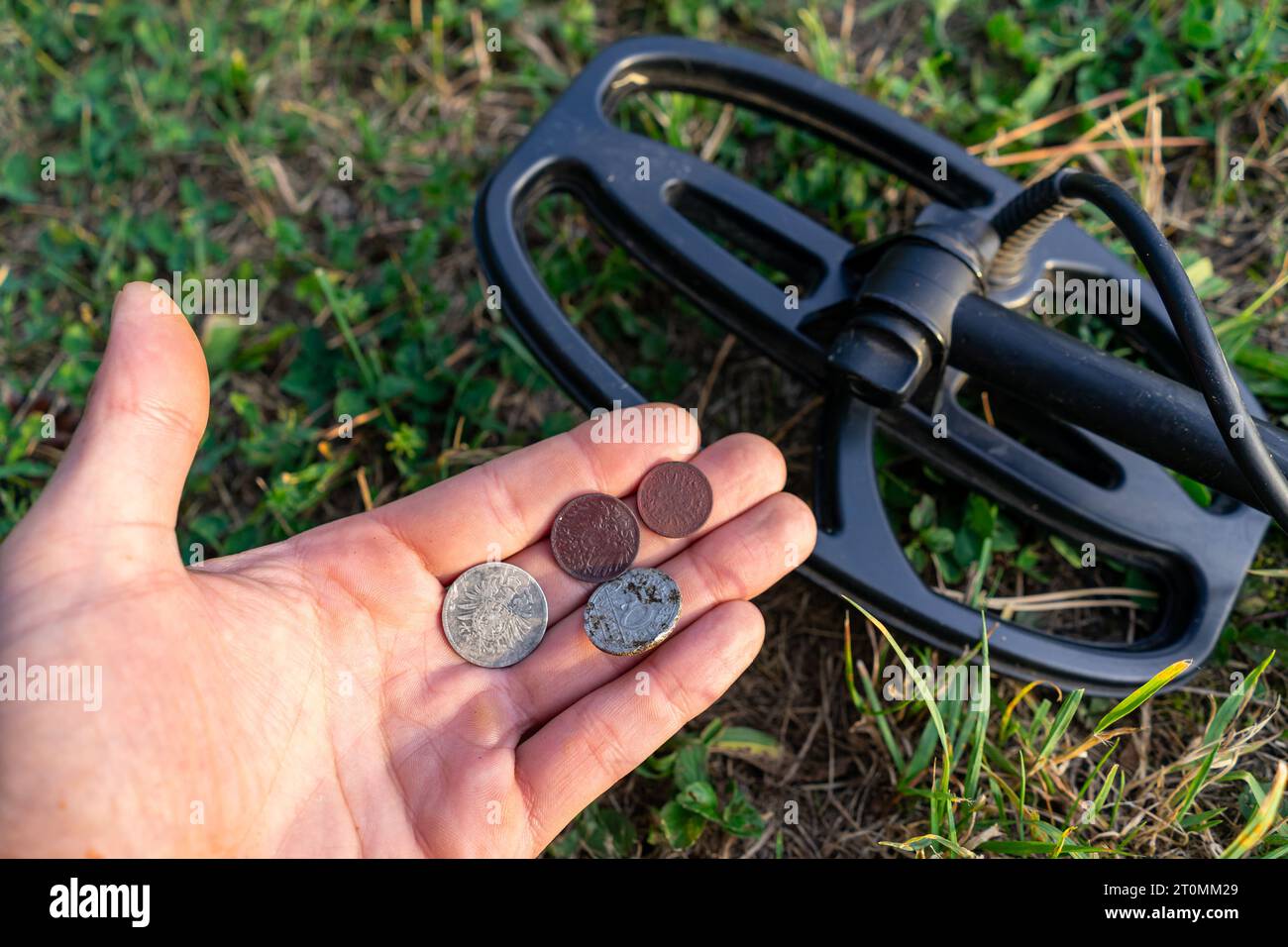 Der Schatzsucher hält alte Münzen in der Hand, die er mit dem Metalldetektor gefunden hat Stockfoto