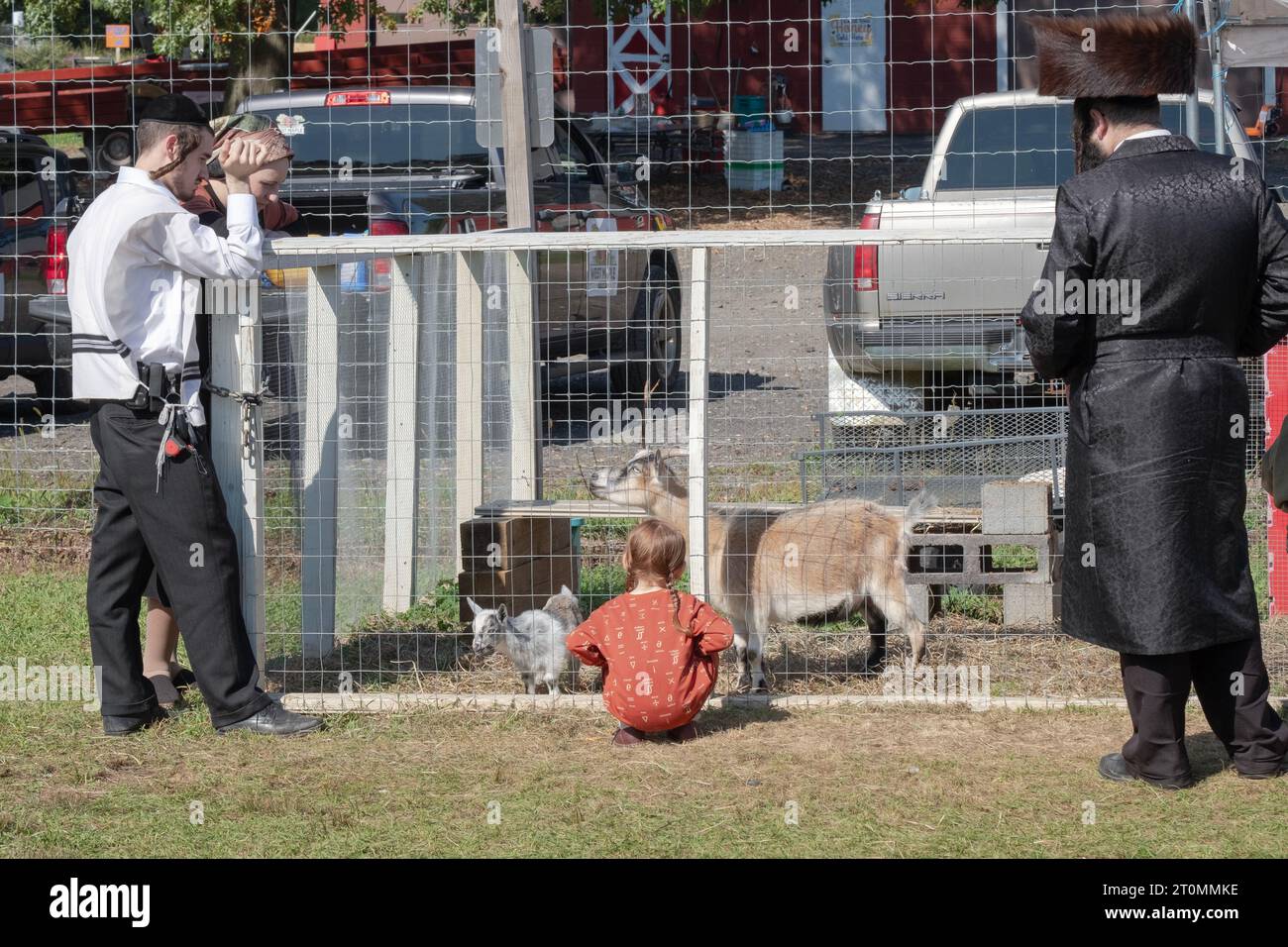 Eine orthodoxe jüdische Familie feiert Sukkos mit einem Besuch in einem Streichelzoo und einem lustigen Ort für Kinder. In Monsey, New York. Stockfoto