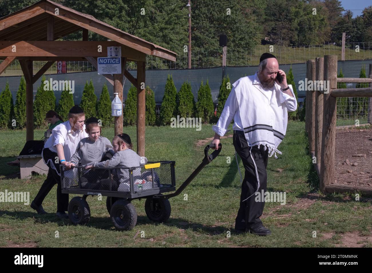 Eine orthodoxe jüdische Familie verbringt einen Sukkos-Nachmittag mit Spaß, wie es vorgeschrieben ist. In einem Streichelzoo, einem Vergnügungspark und einer Farm. In Monsey, Rockland County. Stockfoto