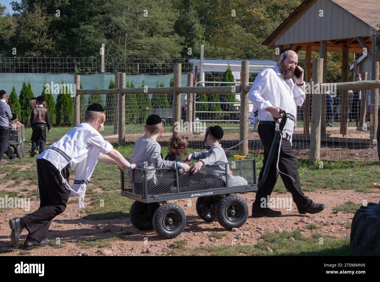 Eine orthodoxe jüdische Familie verbringt einen Sukkos-Nachmittag mit Spaß, wie es vorgeschrieben ist. In einem Streichelzoo, einem Vergnügungspark und einer Farm. In Monsey, Rockland County. Stockfoto