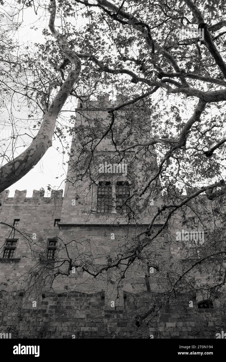 Hohe Turmfassade der Befestigungsanlagen der mittelalterlichen Stadt Rhodos hinter Baumästen in Schwarz-weiß Stockfoto