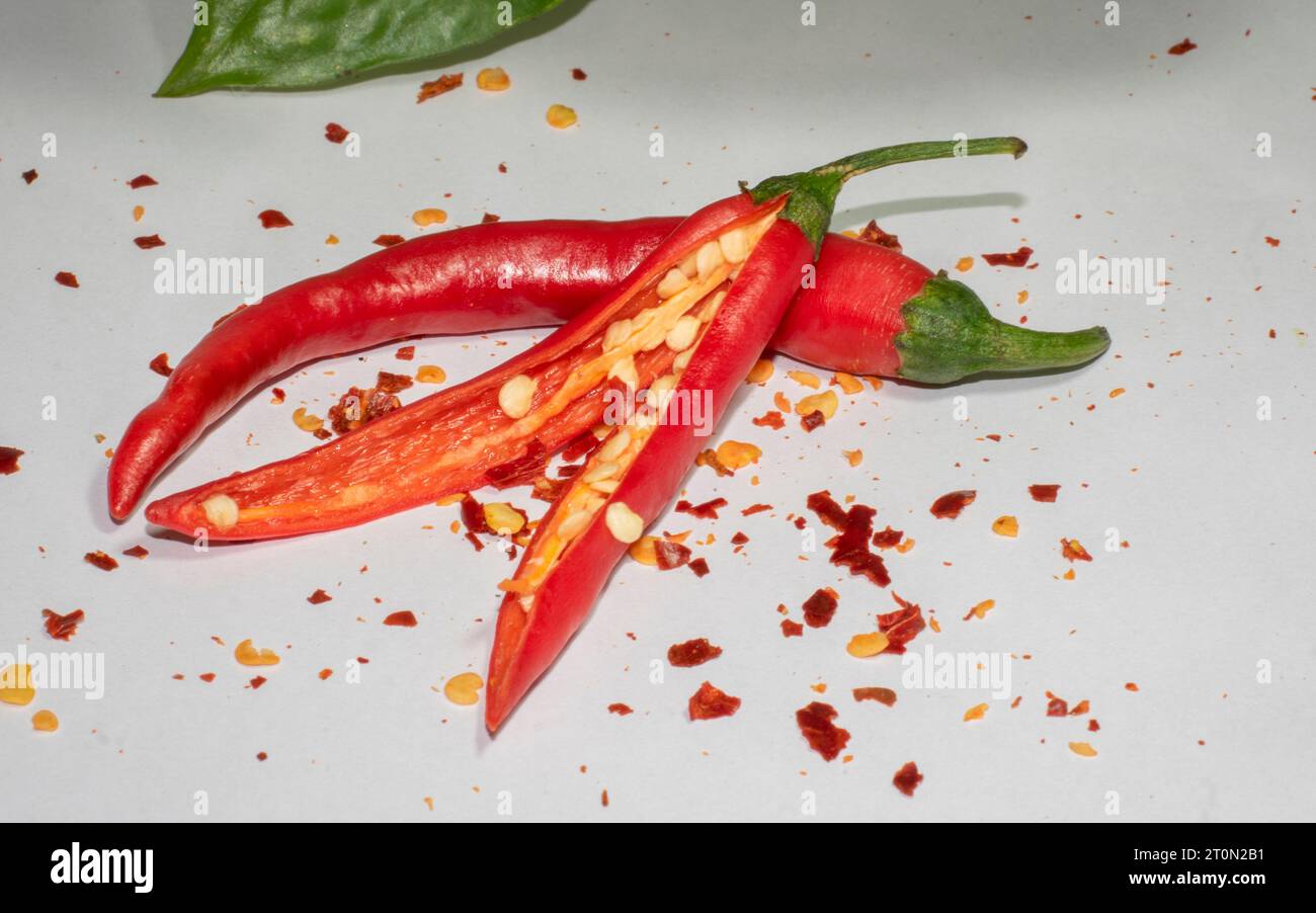 Red Chili Elegance: Feurige Fotografie auf einer weißen Leinwand - Gewürz des Lebens: Fesselnde rote Chili Porträts - Eine rote Chili Fotografie Showcase Stockfoto