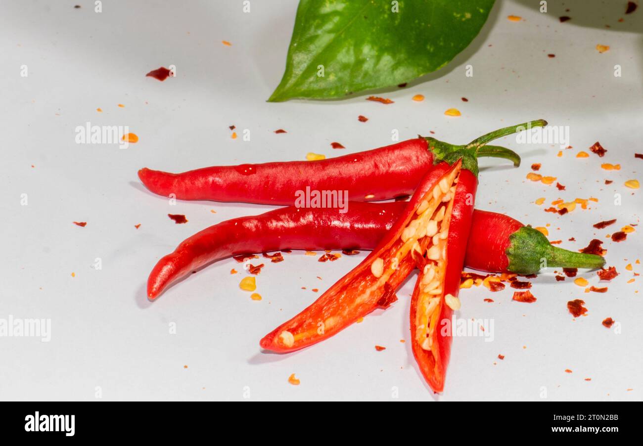 Red Chili Elegance: Feurige Fotografie auf einer weißen Leinwand - Gewürz des Lebens: Fesselnde rote Chili Porträts - Eine rote Chili Fotografie Showcase Stockfoto