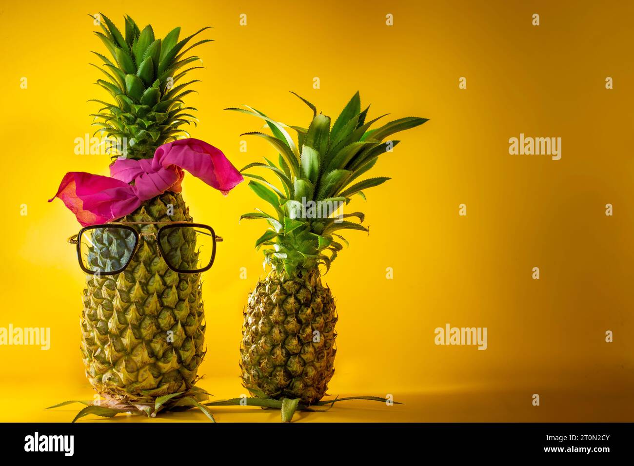 Tropical Dreams: Pineapple Art Photography Delights Stockfoto