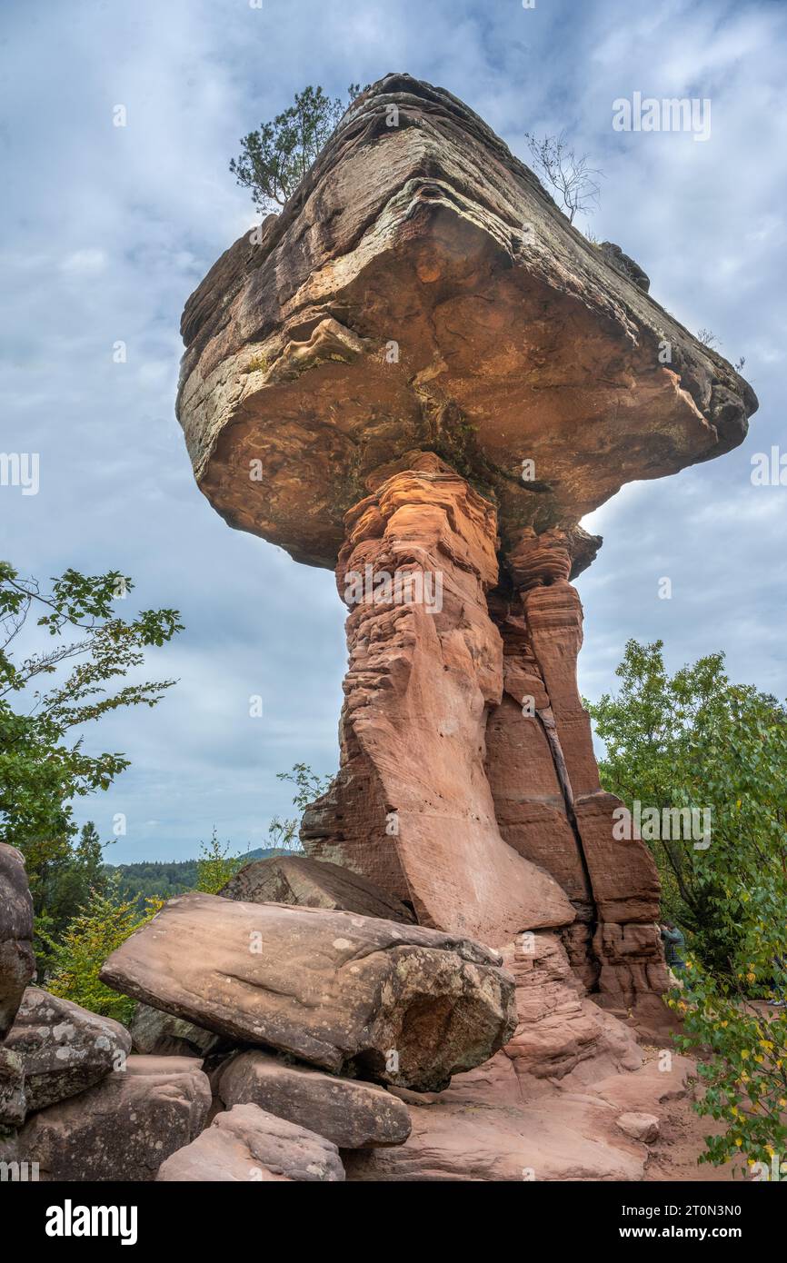 Sandsteinformation Teufelstisch bei Hinterweidenthal im Pfälzerwald. Wasgau, Rheinland-Pfalz, Deutschland, Europa Stockfoto