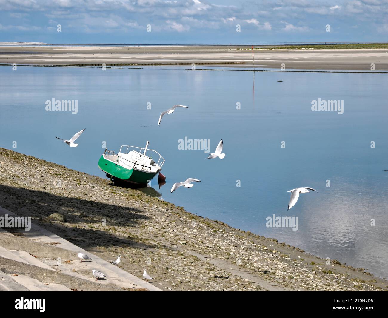 Das kleine Boot und Möwen im Flug in Saint-Valery-sur-Somme ist eine Gemeinde im französischen Departement Somme Stockfoto