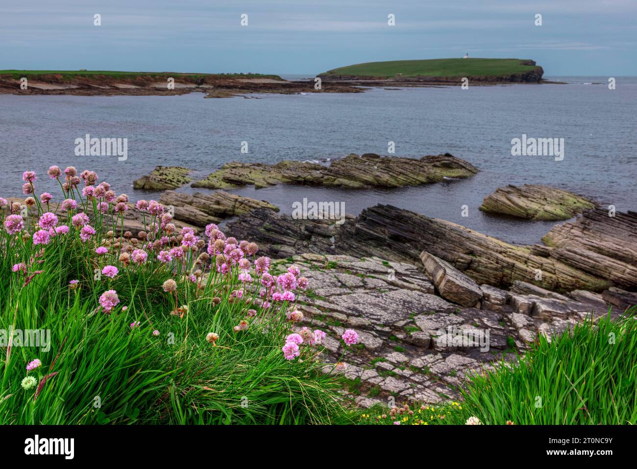 Die Tidal Island Brough of Birsay in Orkney, Schottland. Stockfoto