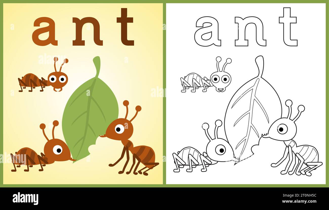 Vektor-Cartoon von arbeitenden Ameisen mit Blatt, Malbuch oder Seite Stock Vektor