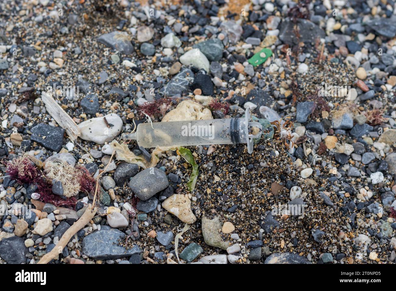 Eine benutzte leere Nadel an einem schmutzigen Kiesstrand mit Algen und Plastikabfällen Stockfoto