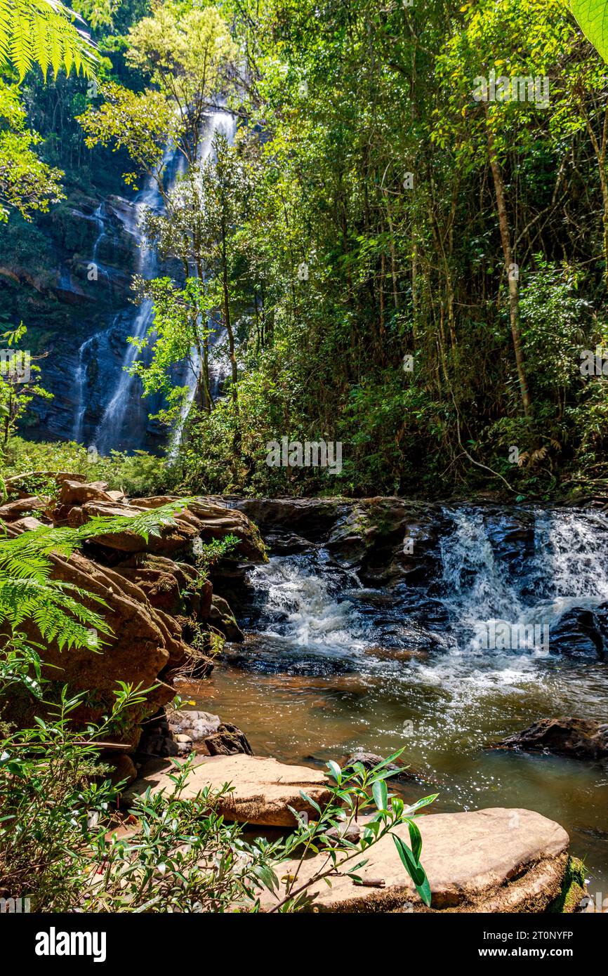 Fluss und Wasserfall durch dichte Regenwaldvegetation im brasilianischen Bundesstaat Minas Gerais Stockfoto