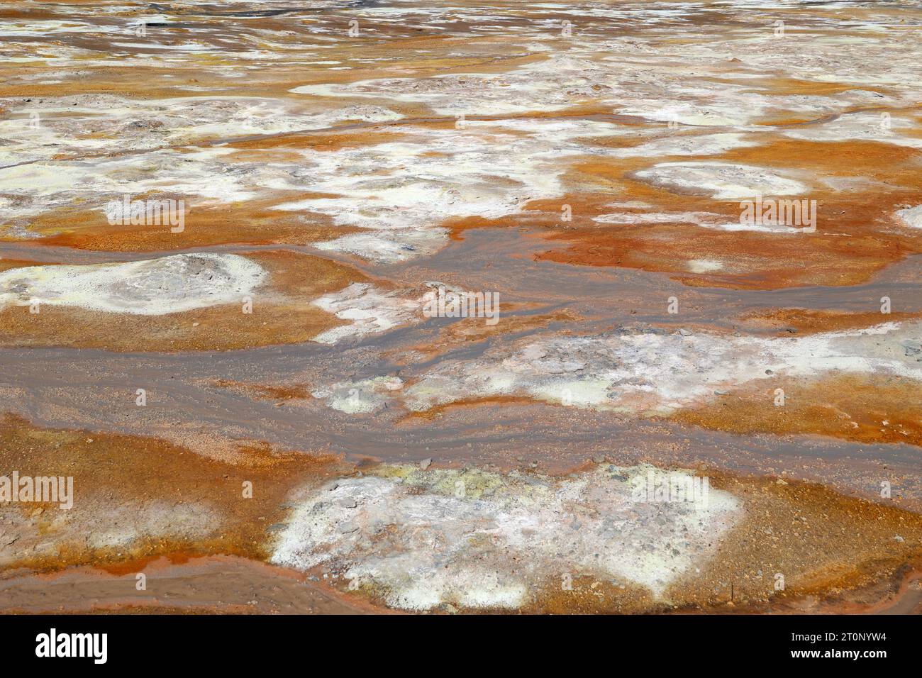 Geothermisches Gebiet Myvatn mit seinen zahlreichen heißen Quellen im vulkanischen Krafla-System Stockfoto