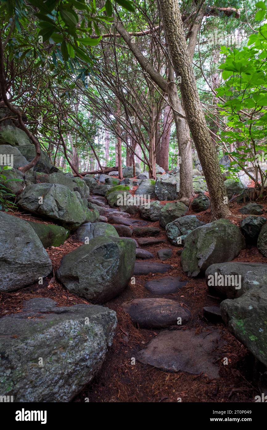 Im Ipswich River Wildlife Sanctuary der Massachusetts Audubon Society führt ein kurviger Steinpfad durch den Wald. Stockfoto