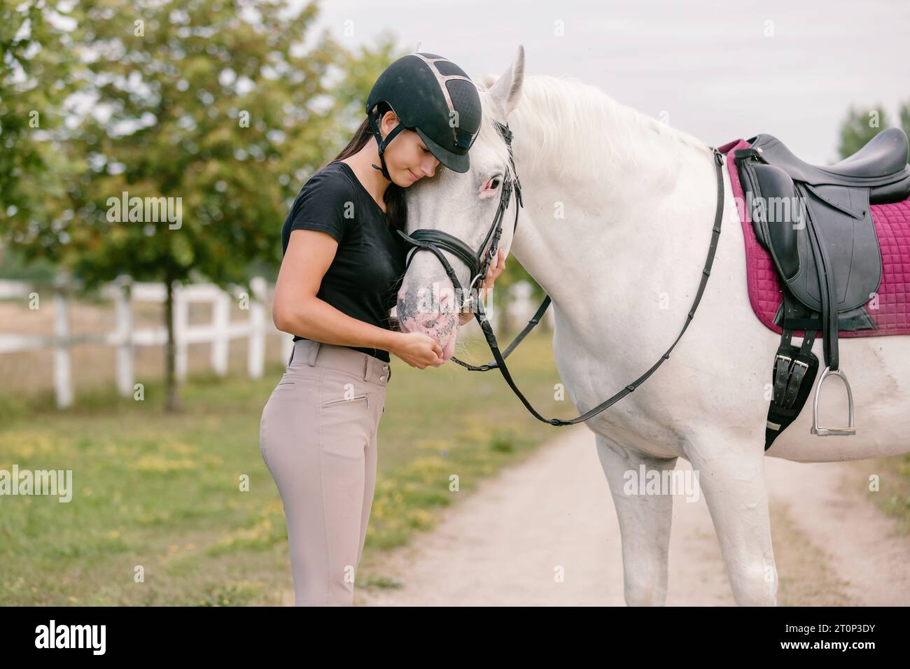 Weibliche Reiterhand streichelt sanft die wunderschöne dicke rote Pferdemäne, Nahaufnahme. Equitation und Tierliebhaber-Konzept. Stockfoto