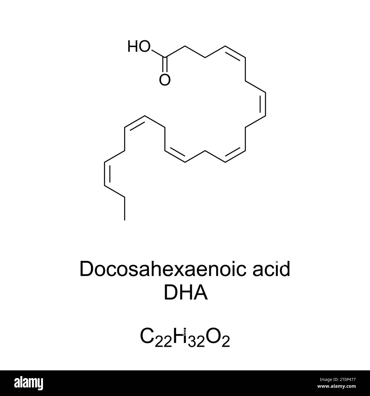 Docosahexaensäure, DHA, chemische Formel. Omega-3-Fettsäure, Strukturkomponente des menschlichen Gehirns, der Großhirnrinde, der Haut und der Netzhaut. Stockfoto