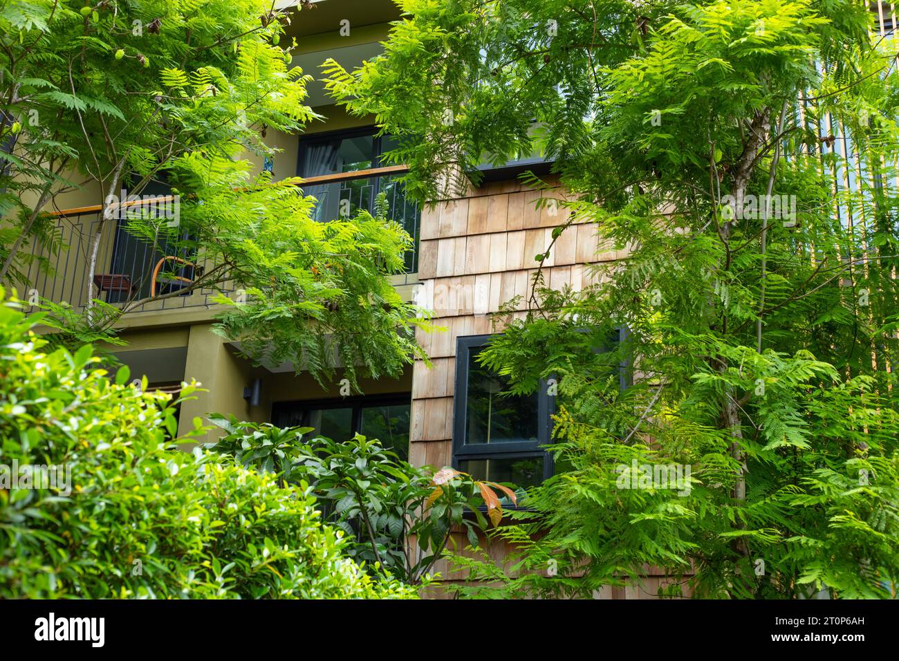 Wohnraumabdeckung mit grünem Pflanzenbaum für ein umweltfreundliches Gebäude, das energiesparendes Kühlhaus Stockfoto