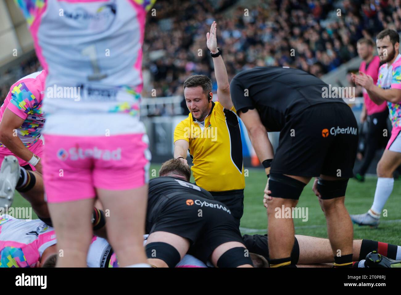 Newcastle, Großbritannien. Juni 2023. Richard Gordon (Schiedsrichter) gibt den Falcons einen Versuch während des Premiership Cup-Spiels zwischen den Newcastle Falcons und Caldy im Kingston Park, Newcastle am Sonntag, den 8. Oktober 2023. (Foto: Chris Lishman | MI News) Credit: MI News & Sport /Alamy Live News Stockfoto