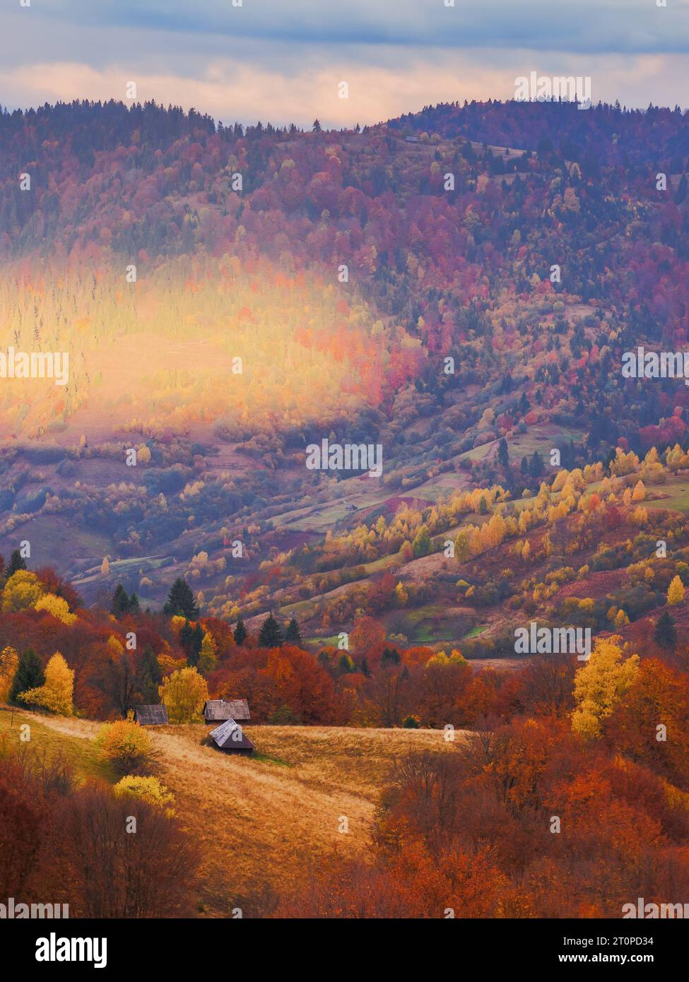 Ländliche Landschaft der ukrainischen karpaten. Berglandschaft im Herbst. Landschaft mit bewaldeten Hügeln in Herbstfarben am verschneiten Morgen Long Stockfoto