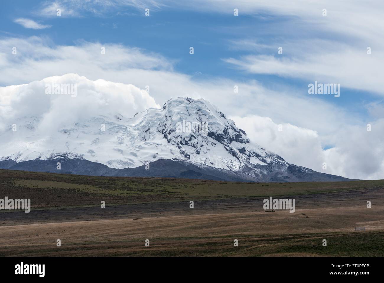 Vulkan Antisana in Ecuador. Das Grasland, der Paramo liegt über der Baumgrenze und war an diesem Tag sehr windig Stockfoto