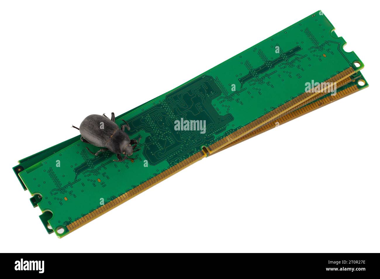 Fehler auf PC-Speichermodul. Computerfehlerkonzept. Isoliert auf weißem Hintergrund. Stockfoto