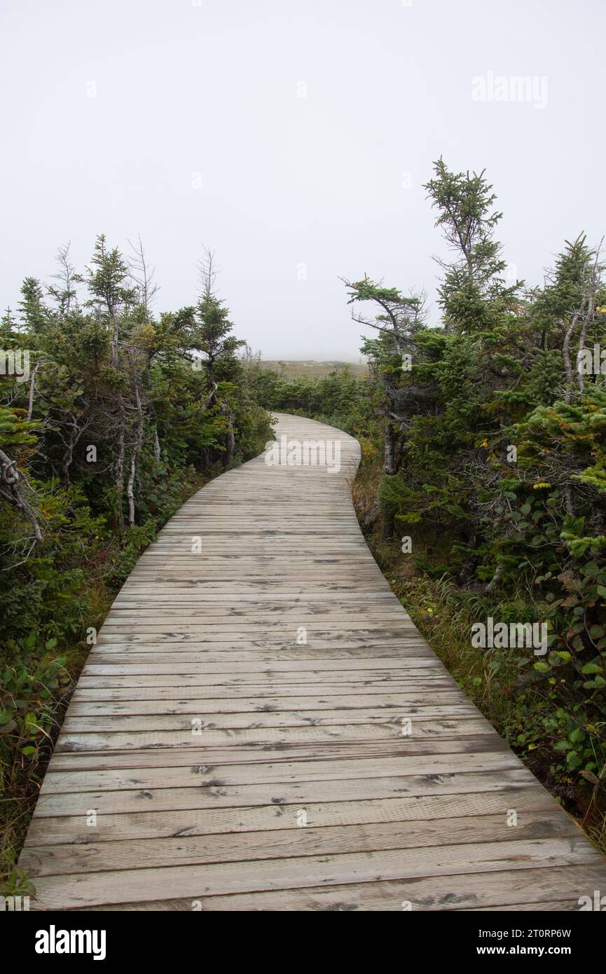 Holzsteg in L'Anse aux Meadows, Neufundland & Labrador, Kanada Stockfoto