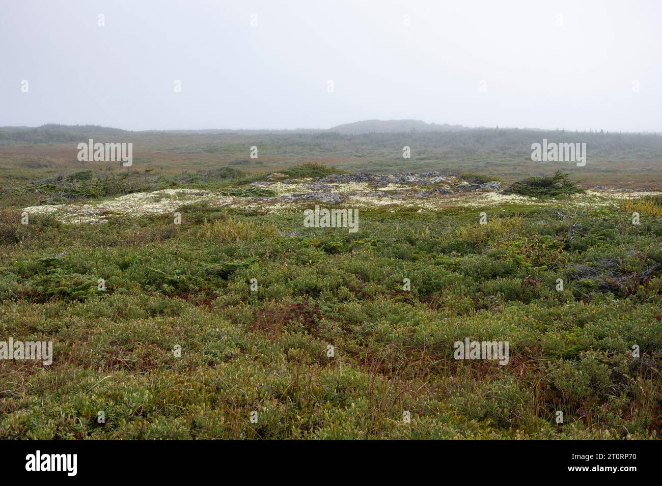 L’Anse aux Meadows archäologische Stätte in Neufundland & Labrador, Kanada Stockfoto