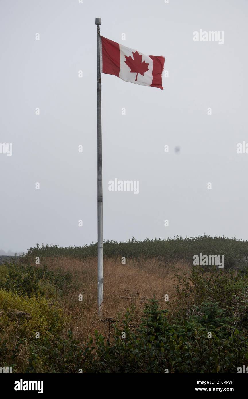 Kanadische Flagge, die in L'Anse aux Meadows, Neufundland & Labrador, Kanada, fliegt Stockfoto