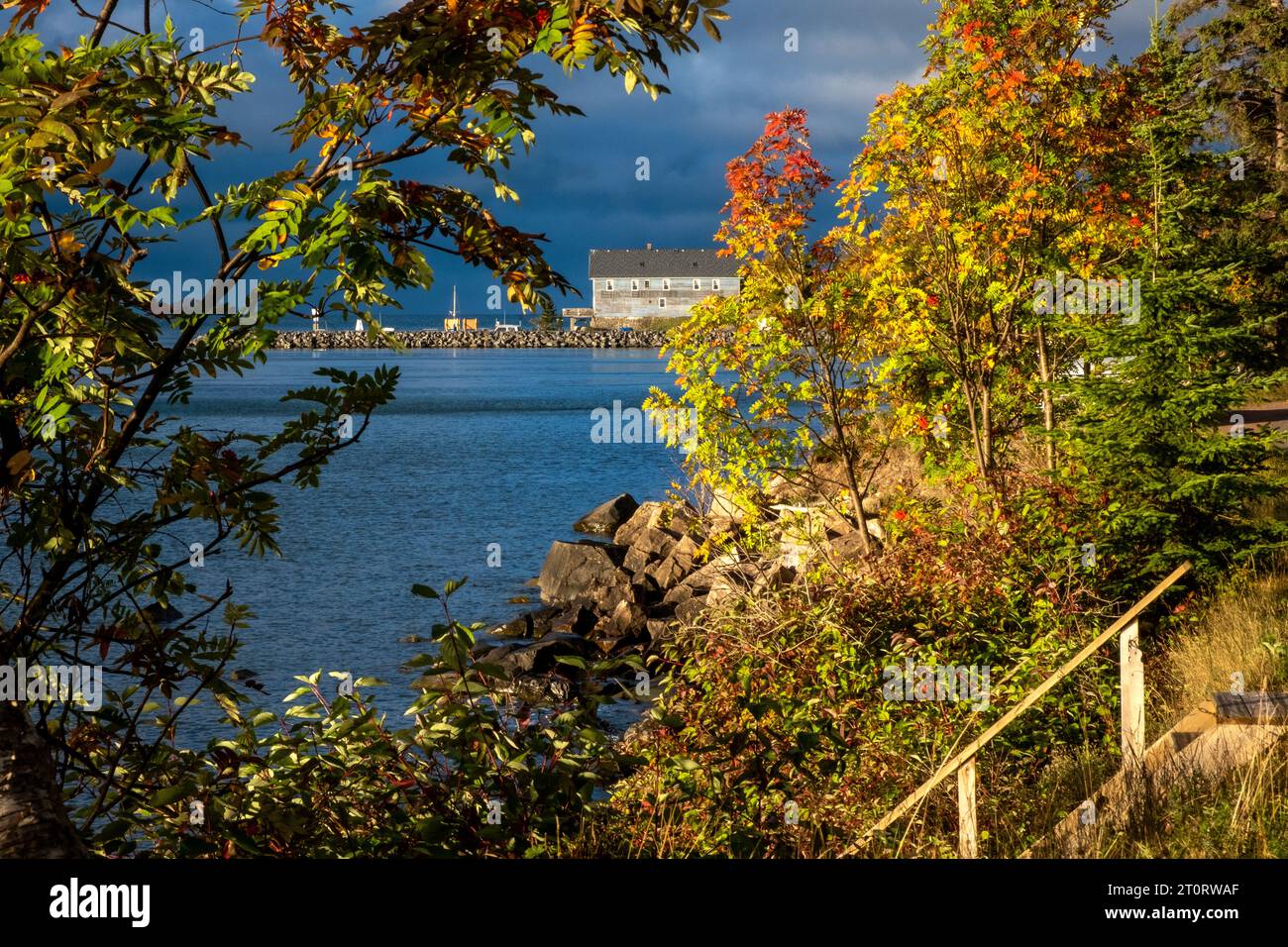 Herbstfarben auf Silver Islet, Sleeping Giant Provincial Park, in der Nähe von Thunder Bay, Ontario, Kanada Stockfoto
