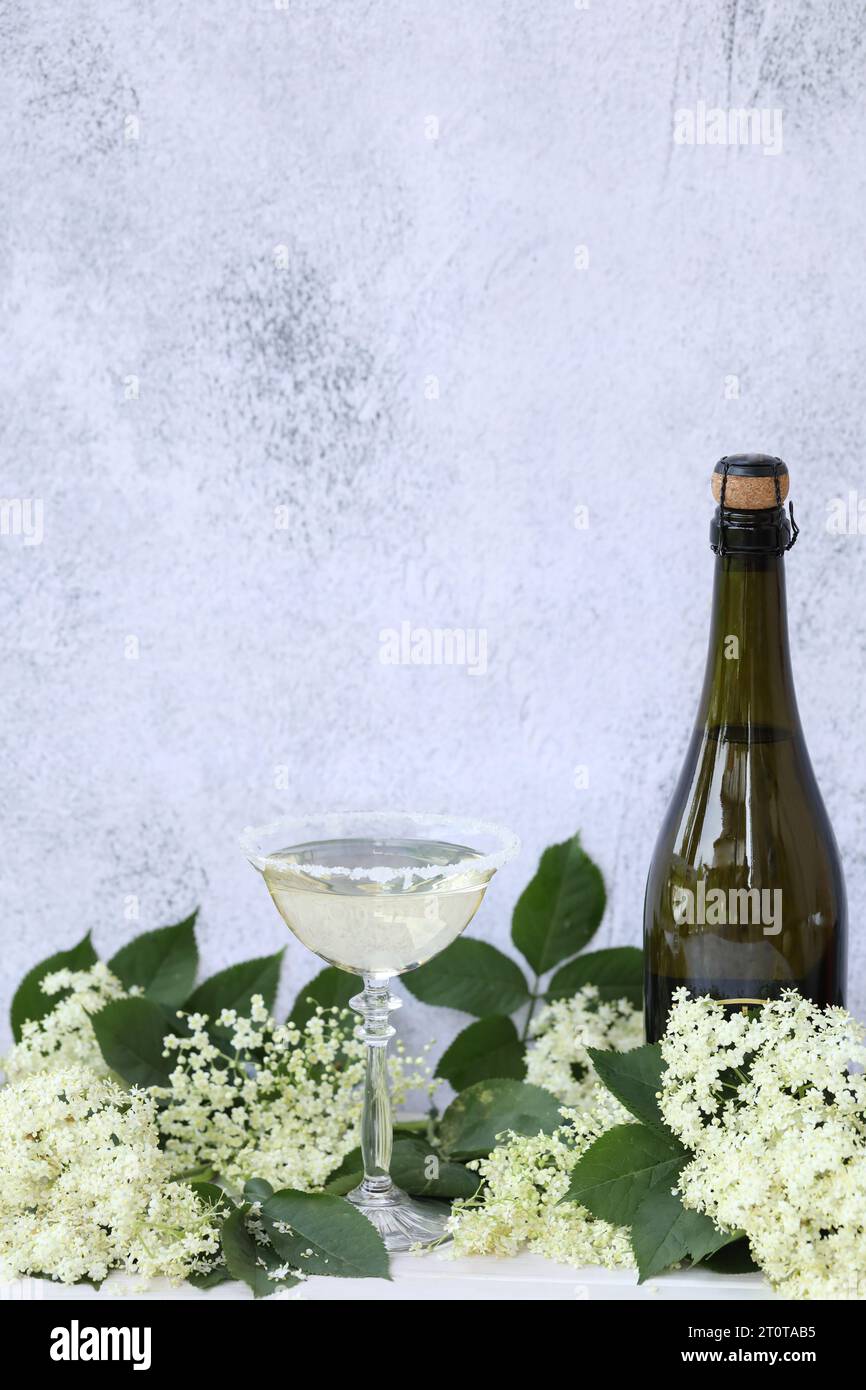Glas und Flasche Champagner mit Holunderblütenlikör. Auf grauem Hintergrund mit Kopierraum Stockfoto
