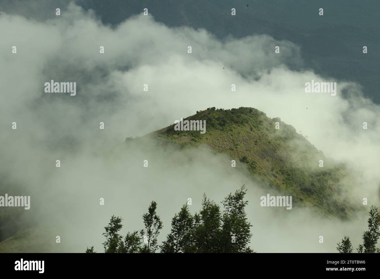 Nebelbedeckter Hügel im Reservat von Kodanad aus gesehen Stockfoto