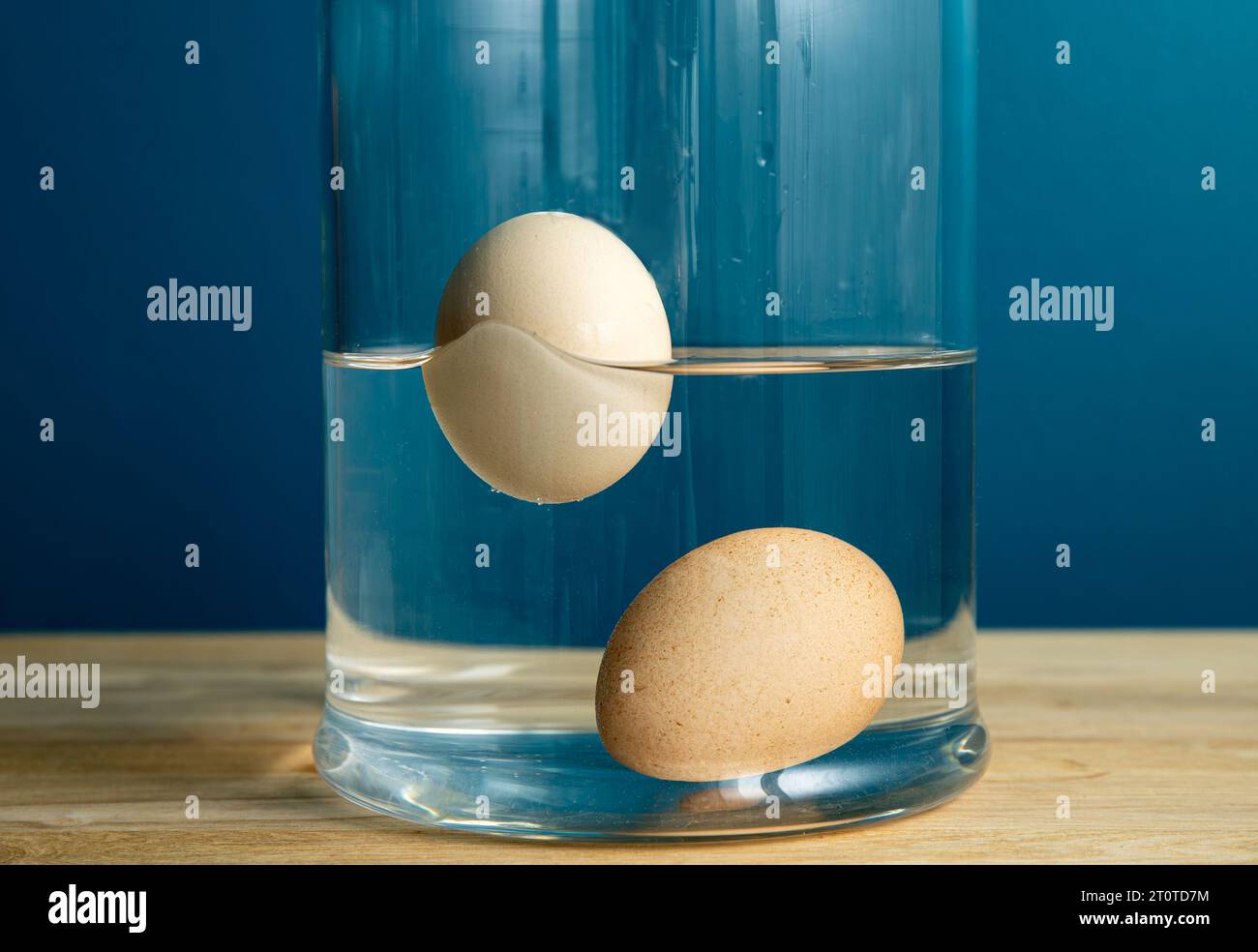 Vergleich mit frischem essbarem und altem verfaultem Ei. Frisches eßbares Hühnerei ist unten im Glasgefäß versunken und schlechtes altes verfaultes Ei schwimmt. Stockfoto