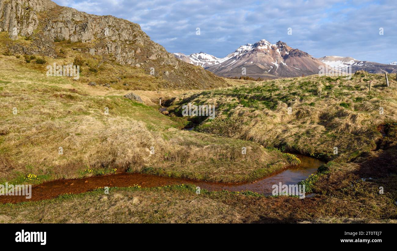 Wunderschöne iberische Landschaft in Bakkagerdi ('Bakkagerði' auf Isländisch) im Osten Islands. Gebirgsbach zieht im Zickzack durch eine grasbewachsene Wiese. Stockfoto