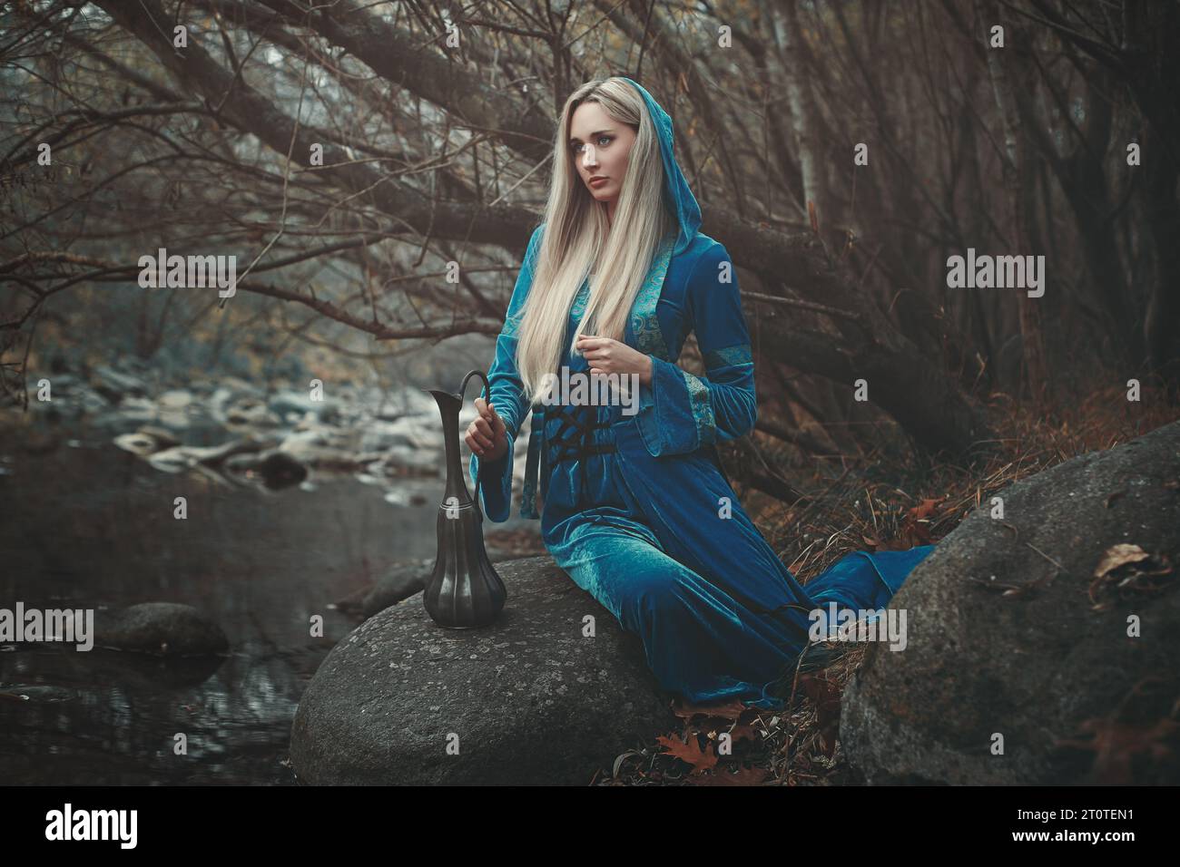 Wunderschöne keltische Frau Stockfoto