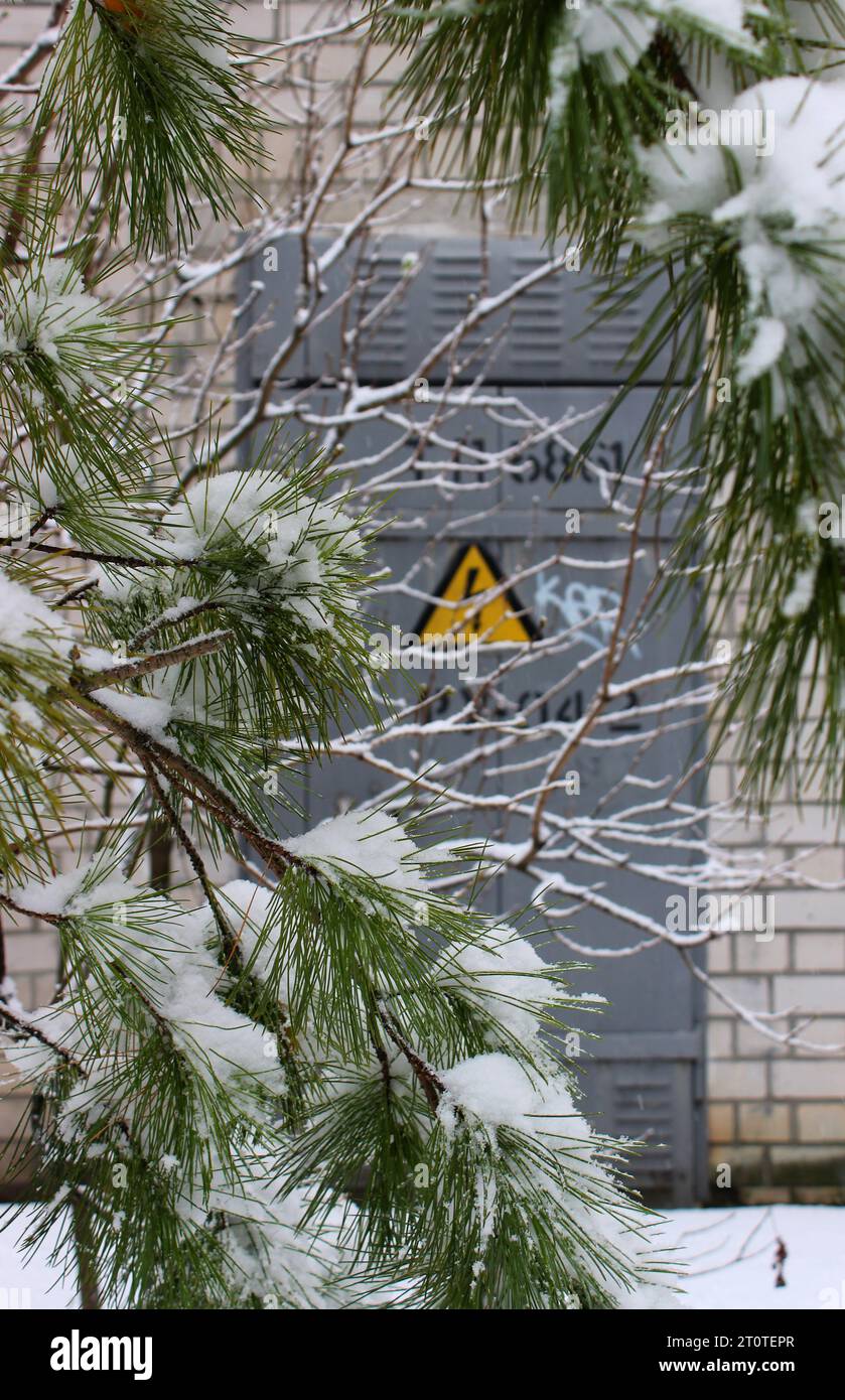 Schneebedeckter Kiefernbaum Vor Dem Transformatorgebäude Mit Metalltür Und Hochspannungs-Risikoschild Soft Focus Stockfoto