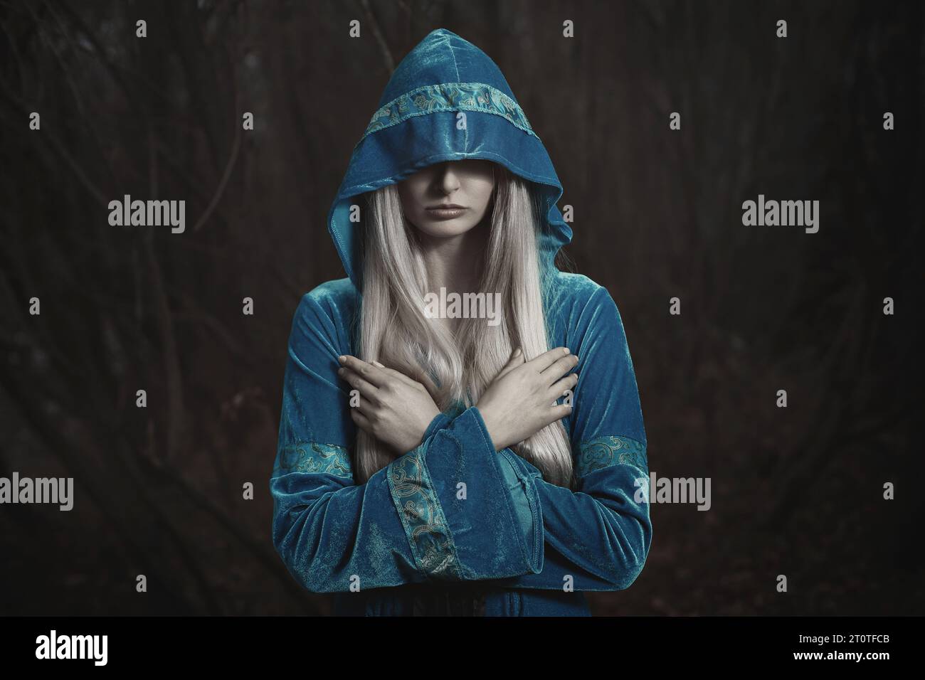 Dunkle Elfenfrau im Winterwald Stockfoto