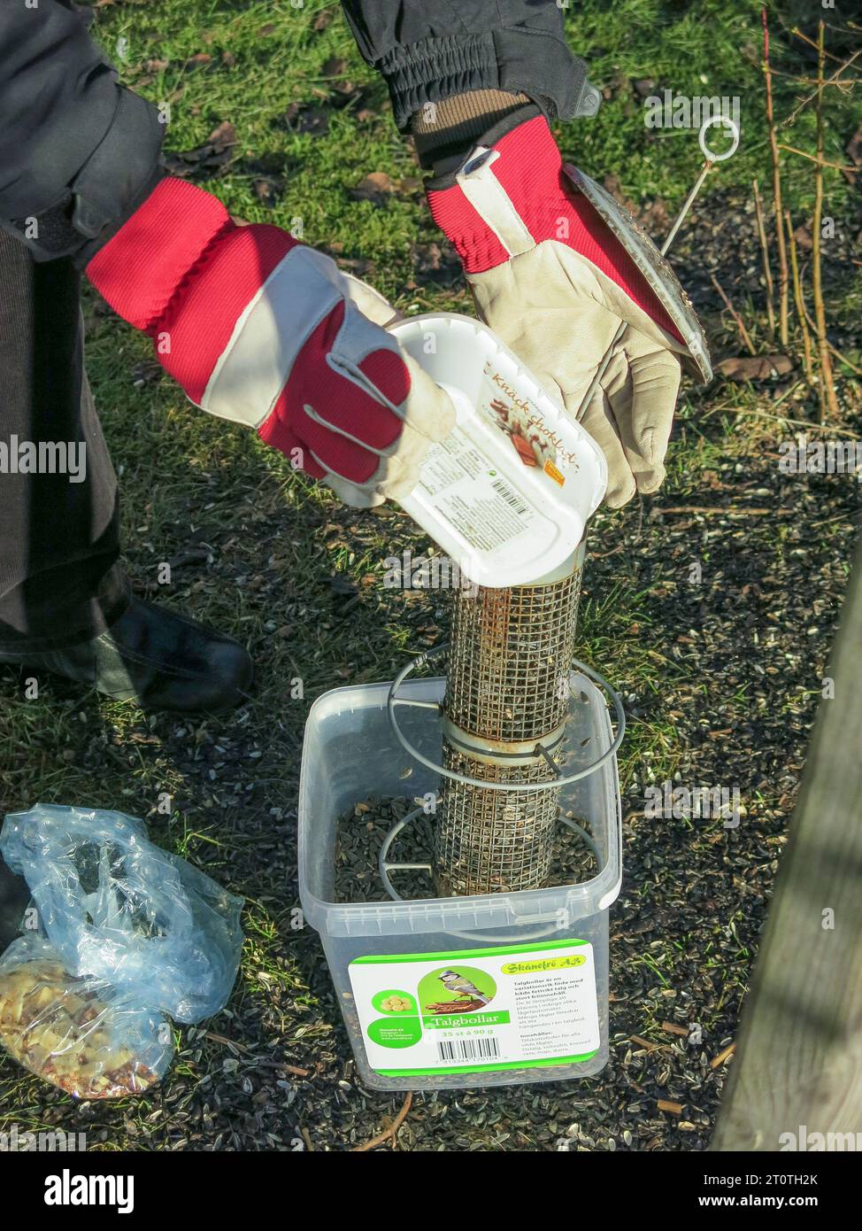 DER SAATGUTZUFUHRER ist mit Saatgut für den Winter gefüllt Stockfoto