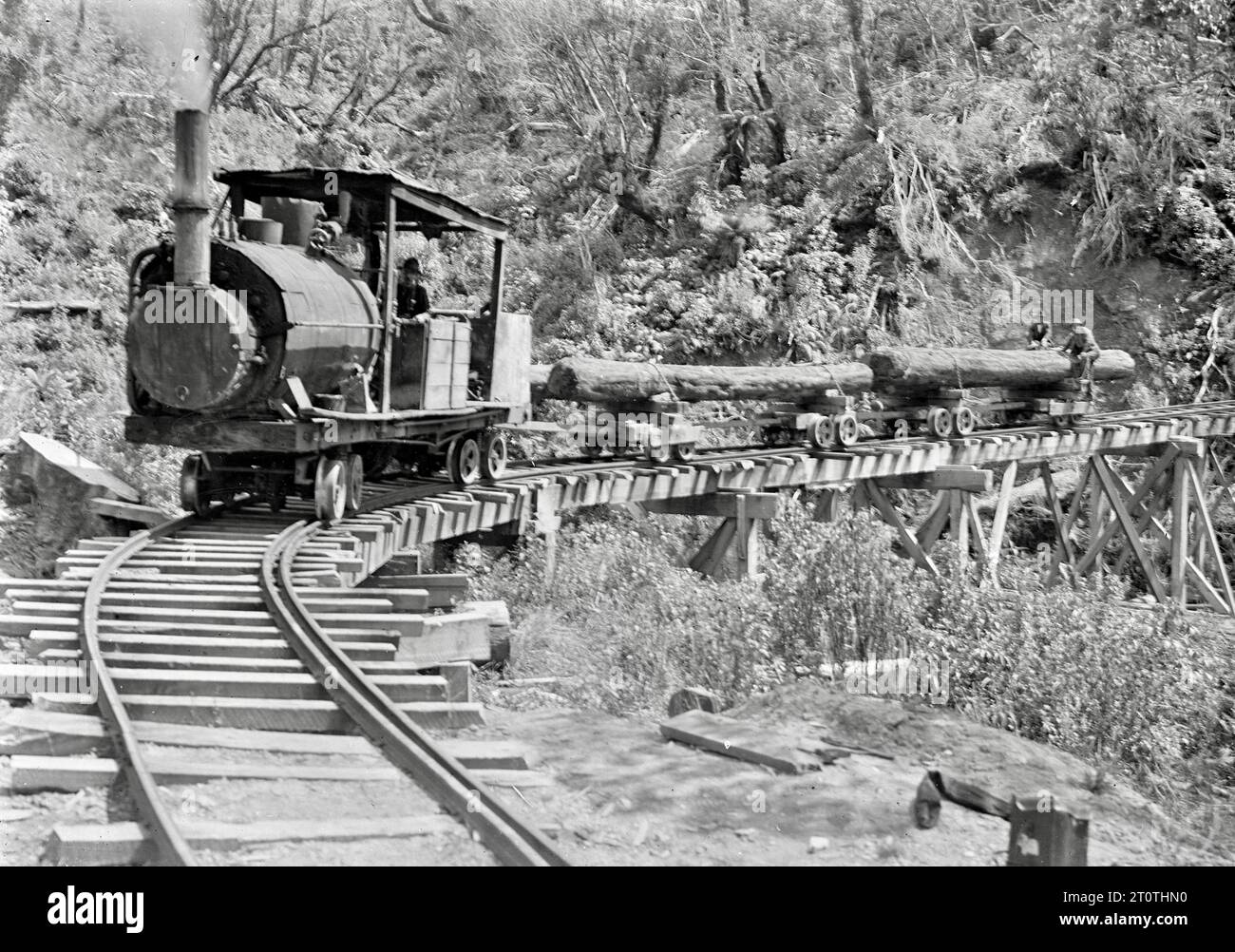 Albert Percy Godber (neuseeländischer Fotograf) - 'Knight's Tram, Raurimu' - Hauling Logs - 1916 Stockfoto