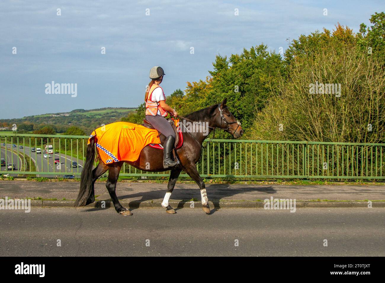 Weibliche Reiterin in orangefarbener Kleidung über Autobahnbrücken Straßenverkehr in Manchester haben britische Pferde das Recht, auf den Straßen zu fahren, und in ihnen waren Pferde- und Pferdekutschen, bevor Autos erfunden wurden. Stockfoto