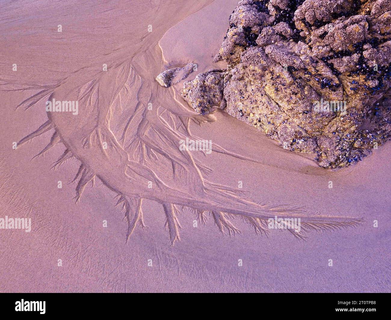 Visuelle Metaphern über Sand- Matosinhos Stockfoto