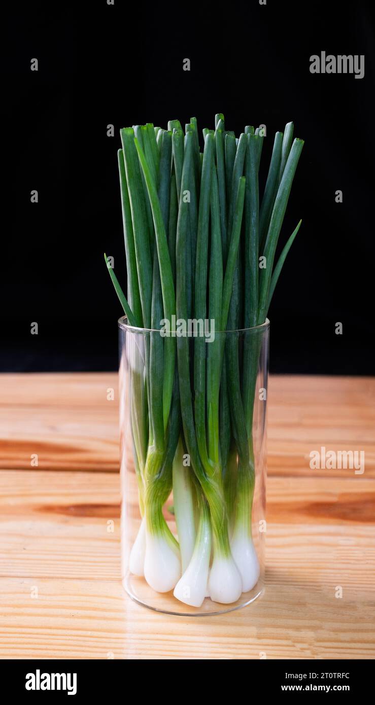 Sprint Zwiebeln werden im Glasbehälter aufbewahrt Stockfoto