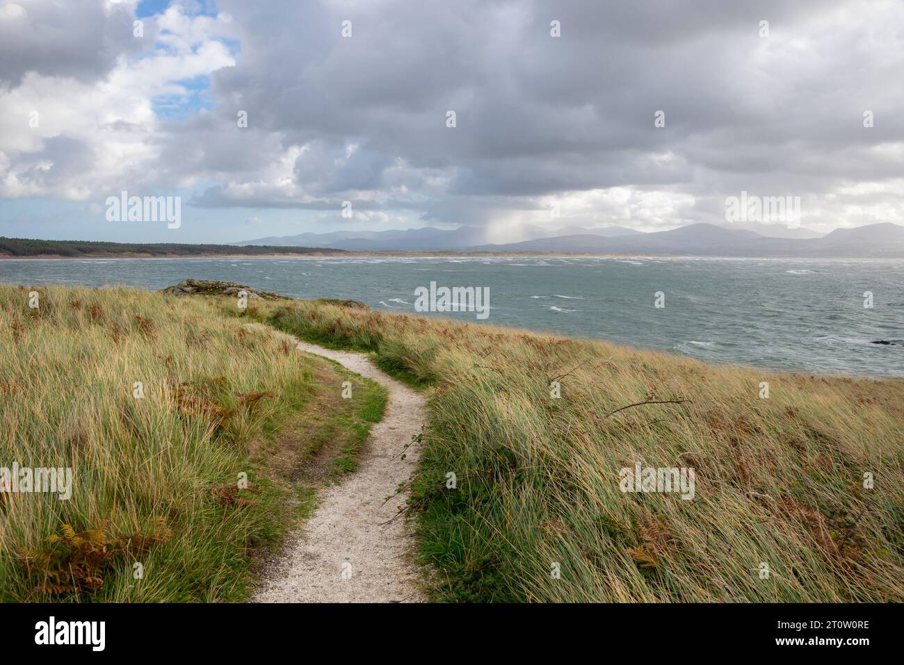 Küstenpfad auf Llanddwyn Island, Anglesey mit Blick auf das walisische Festland an einem hellen und luftigen Herbsttag. Stockfoto Küstenpfad auf Llanddwyn Island, Anglesey mit Blick auf das walisische Festland an einem hellen und luftigen Herbsttag. Stockfoto