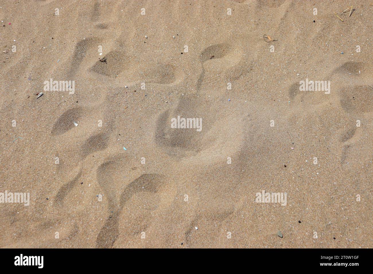 Abstrakter Hintergrund Strand Sand mit Fußabdruck Markierungen Stockfoto