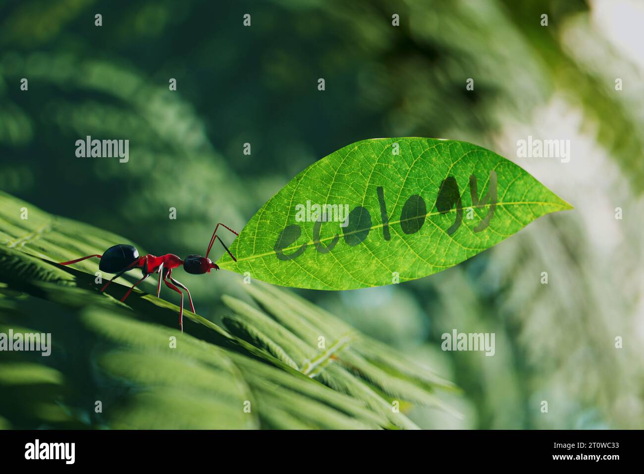 Eine Nahaufnahme einer kleinen braunen Ameise, die ein grünes Blatt mit einem eingeschnittenen Ökologiewort trägt. Ein Arthropodenarbeiter in der Natur. ich bin winzig beschäftigt Stockfoto