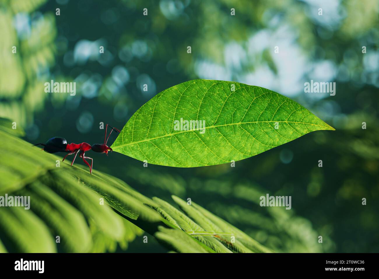 Nahaufnahme einer kleinen braunen Ameise mit grünem Blatt. Ein Arthropodenarbeiter in der Natur. Winzig beschäftigte Insektenarbeit im Wald. Das t Stockfoto