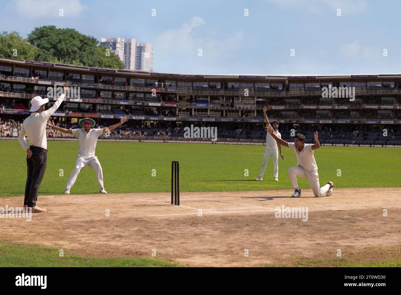 Cricket schiedsrichter -Fotos und -Bildmaterial in hoher Auflösung – Alamy