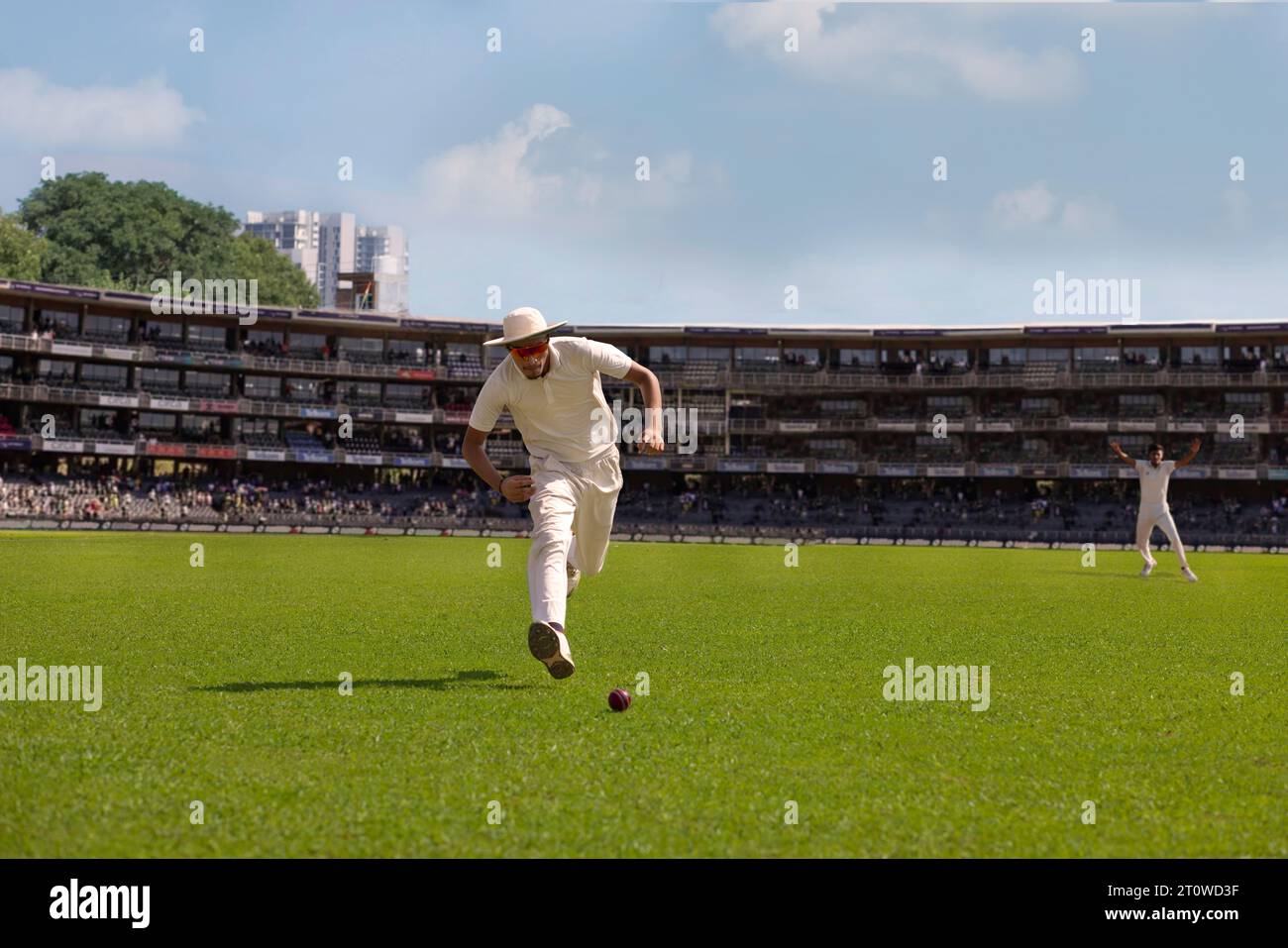 Ein Feldspieler läuft auf dem Feld, während er sich dem Ball nähert, um ihn während eines Cricketspiels zu platzieren Stockfoto