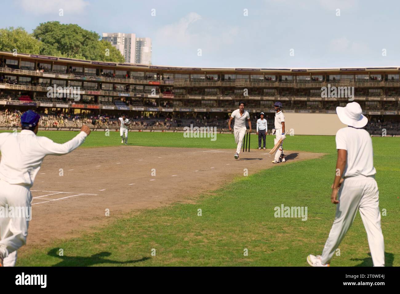 Cricket Bowler feiert während eines Cricket-Spiels einen Wicket Stockfoto