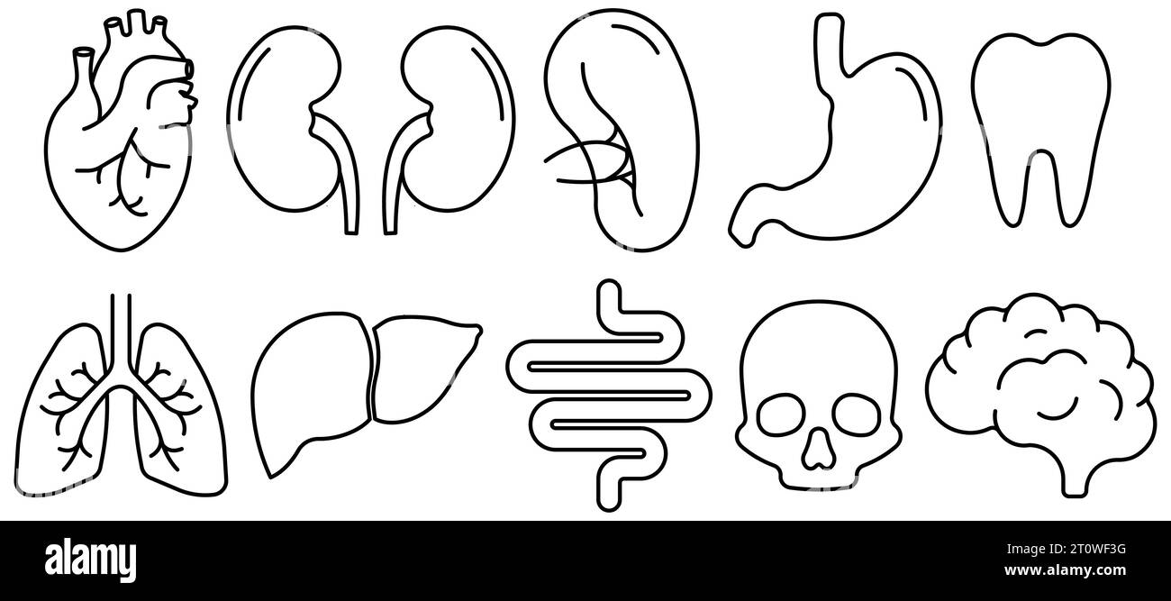 Eine Reihe von Symbolen für menschliche innere Organe. Vektorabbildung. Eps 10. Stock Vektor