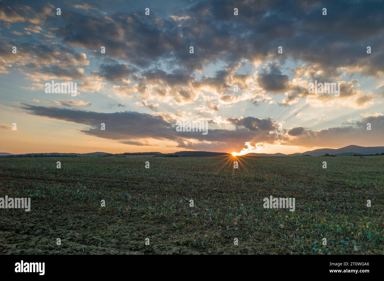 Herbstlandschaft am Abend mit gepflügtem Feld bei Sonnenuntergang. Wunderschöne untergehende Sonne, Sonnenstern. Bewölkter, farbenfroher Himmel, Wolkenhaufen. Chocholna, Slowakei Stockfoto