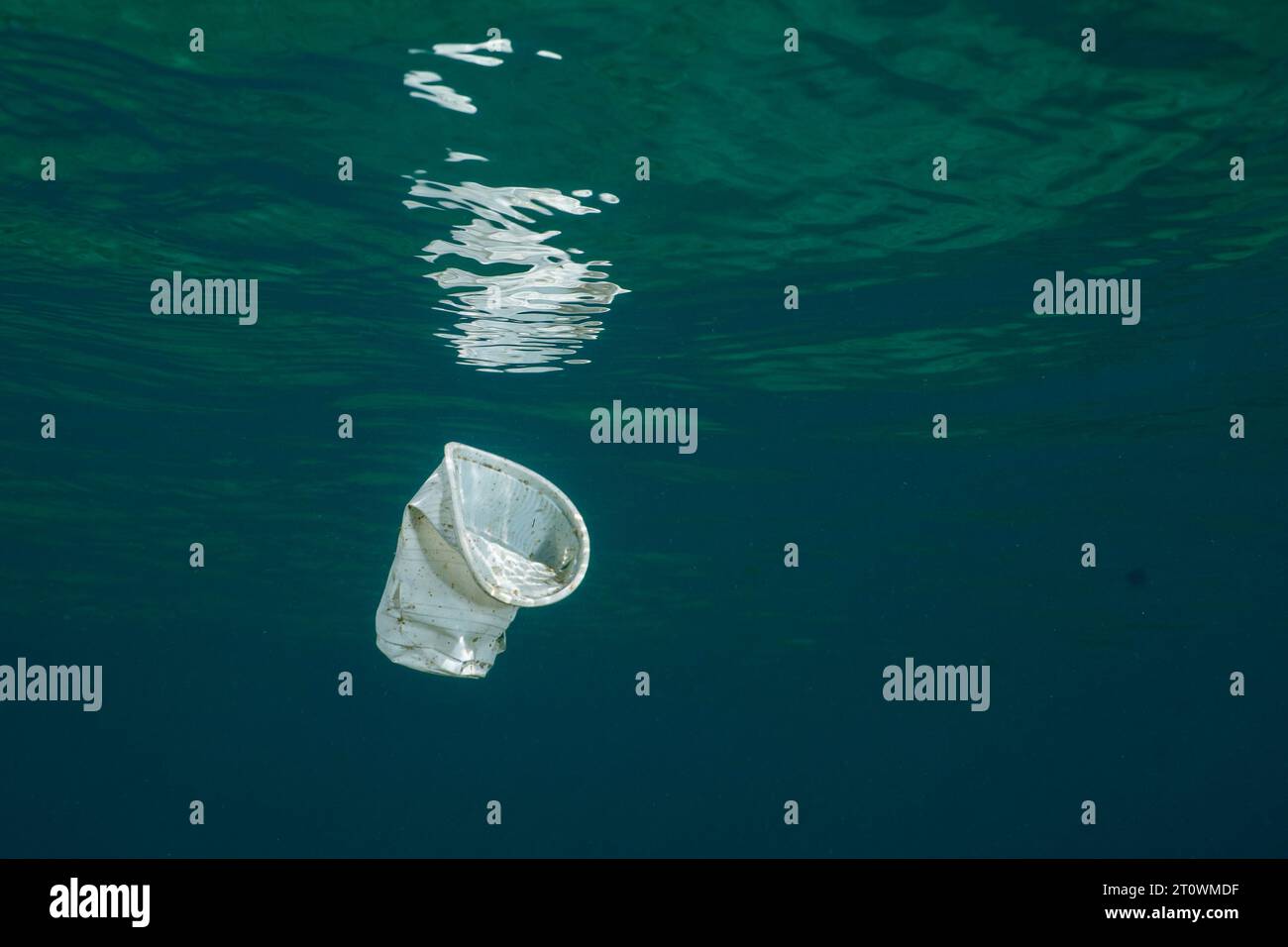 Das Leben in der Mayotte Lagune Stockfoto